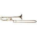 Michael Rath R4F Tenor Rotax