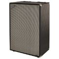 Fender Bassman 610 Neo