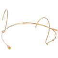 DPA 4066 F34 Headset