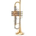 Adams A4 GM Custom BL Heavy 0,40