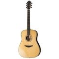 Furch D-22 SR Millenium