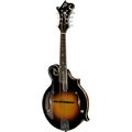 The Loar LM-500-VS
