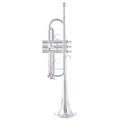 Yamaha YTR-4435 SII