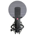 SE Electronics SE 2200a II