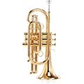 Carol Brass CCR-8880-GSS-Bb-L