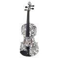 Thomann Skulls & Catacomb Violin 4/4