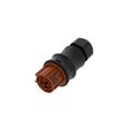 Wieland RST20i3 B1 Female Brown