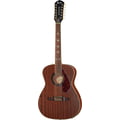 Fender Tim Armstrong Hellcat 12