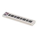 Roland A-49 White