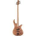 Human Base Jonas 4 P/J Maple Burl