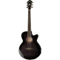 Ibanez AEG24II-TGB