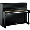 Yamaha P 116 M SH PE Upright Silent