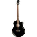 Harley Benton CLB-10SCE BK