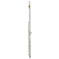 Pearl Flutes Dolce 695 RBE - Vigore
