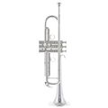 Yamaha YTR-8345RGS 02
