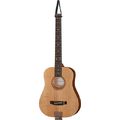 Traveler Guitars AG105 EQ