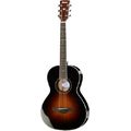 Ibanez AVN1-BS