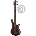 Ibanez SRC6-WNF