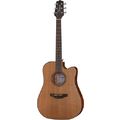 Takamine GD20CE-NS
