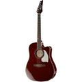 Ibanez LE300-DBB