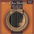 Dean Markley DM 2830 Master Series Classic