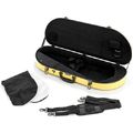 JW-eastman CE124 VA Viola Case PYW