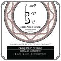 Antonio Pinto Carvalho Cavaquinho 8 Strings