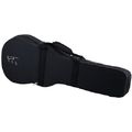 Antonio Pinto Carvalho Baritone Ukulele Case