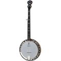 Deering Sierra 5-String A/E