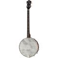 Recording King Dirty 30's Tenor Banjo