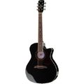 Framus FG-14SCE BK Legacy Series