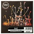 Dorazio BA200 Greek Baglamas Strings