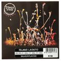Dorazio K10 Island Laouto Strings