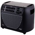 Acoustic Image Corus 613-GA-2-Plus