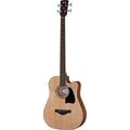 Ibanez AWB50CE-LG