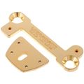 Vibramate Mount Kit for Bigsby B7 GD
