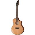 Breedlove Pursuit Nylon