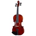 Gewa Pure Violinset HW 4/4