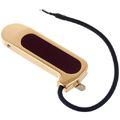 Guild DeArmond Rhythm Chief 1000 GD
