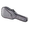 Ritter RGP2 Classical 3/4 Guitar SRW