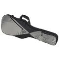 Ritter RGP5 Electric Guitar BSG