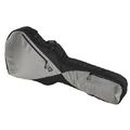 Ritter RGP5 335 Guitar BSG