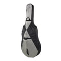 Ritter RSP5 Double Bass 1/2 BSG
