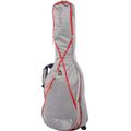 Ritter RGP8 Electric Guitar ext P.SGR