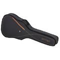 Ritter RGS3 Dreadnought Guitar MGB