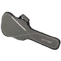 Ritter RGS3 Electric Guitar SGL