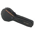 Ritter RGS3 4/5 String Banjo MGB