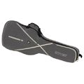 Ritter RGS7 Electric Guitar SGL