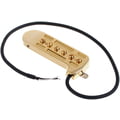 DeArmond Rhythm Chief 1100
