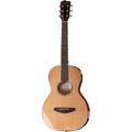 Breedlove Passport Parlor B-Stock